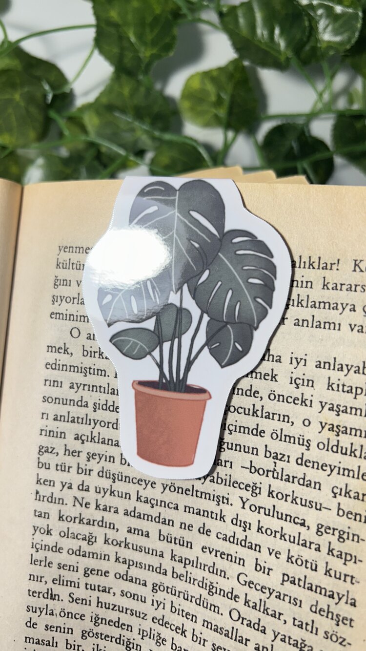 Saksıda deve tabanı mıknatıslı kitap ayracı