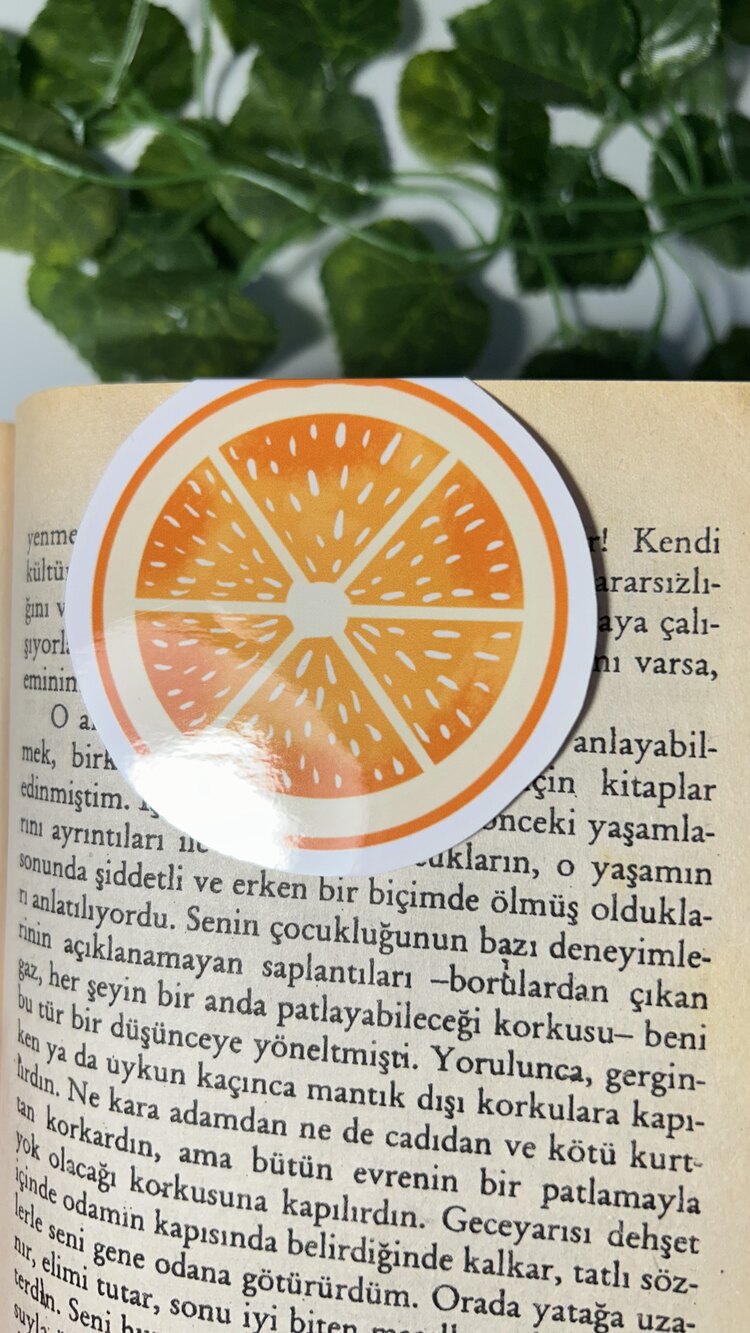 Portakal mıknatıslı kitap ayracı