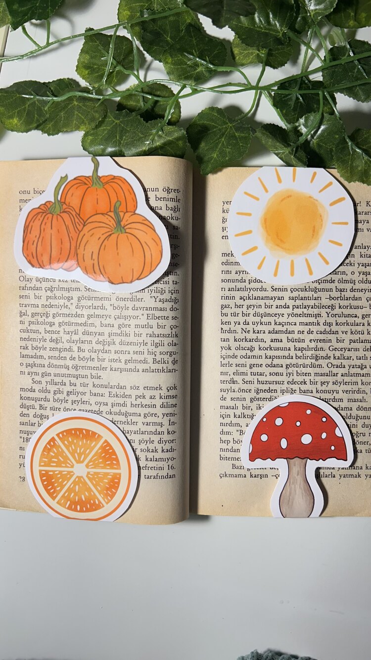 Mantar temalı 4'lü çoklu mıknatıslı kitap ayracı seti