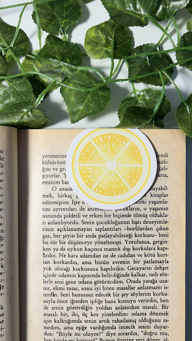 Limon mıknatıslı kitap ayracı