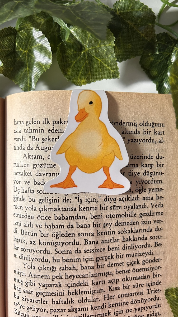 Mıknatıslı Ördek kitap ayracı, Magnetli kitap ayracı, Manyetik kitap ayracı