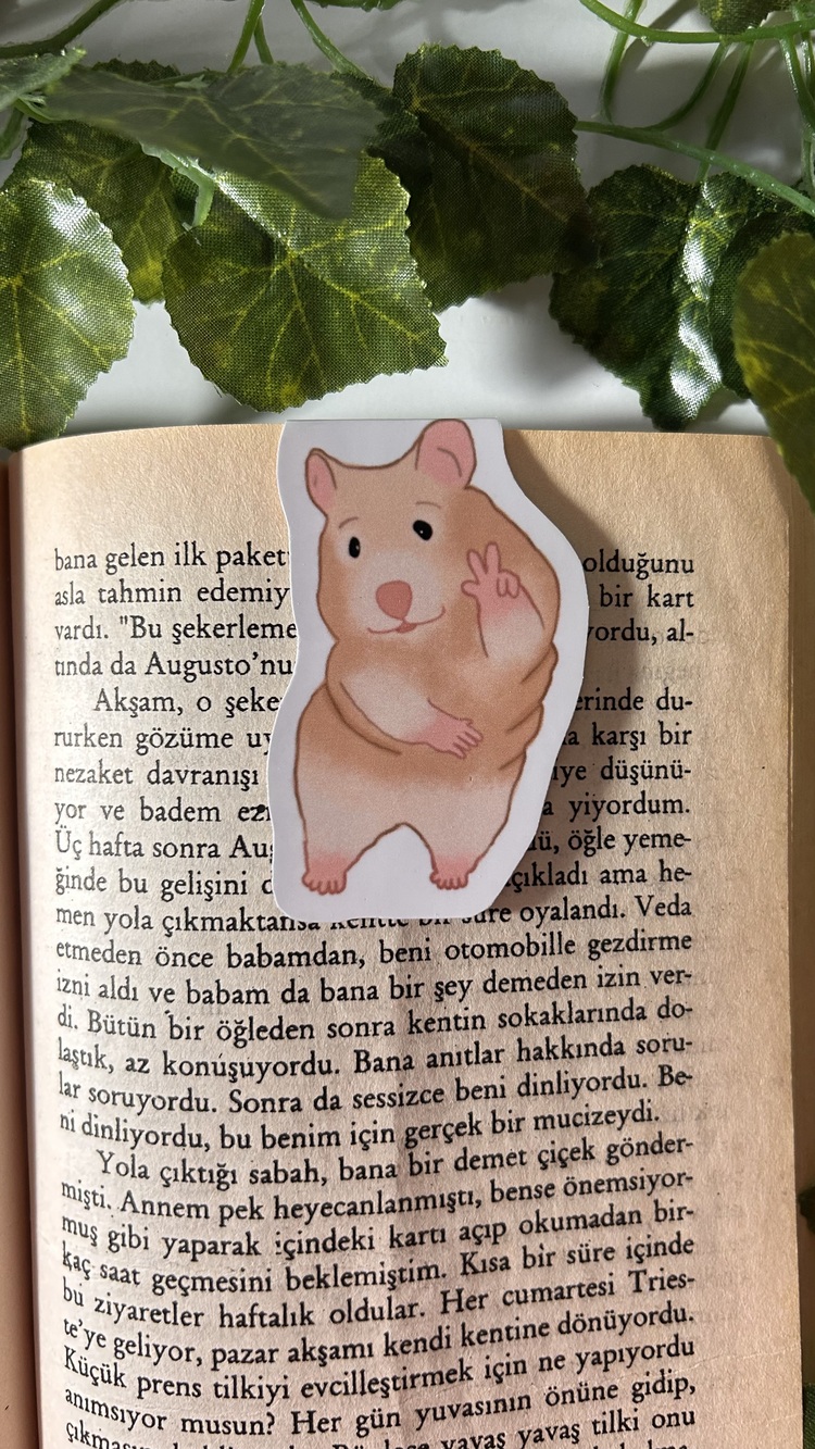 Mıknatıslı Hamster kitap ayracı, Magnetli kitap ayracı, Manyetik kitap ayraç