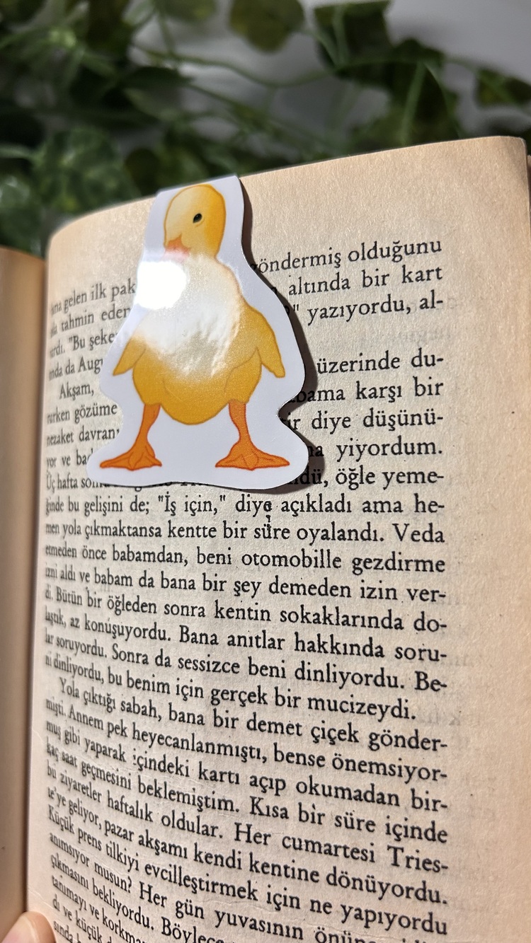 Mıknatıslı Ördek kitap ayracı, Magnetli kitap ayracı, Manyetik kitap ayracı