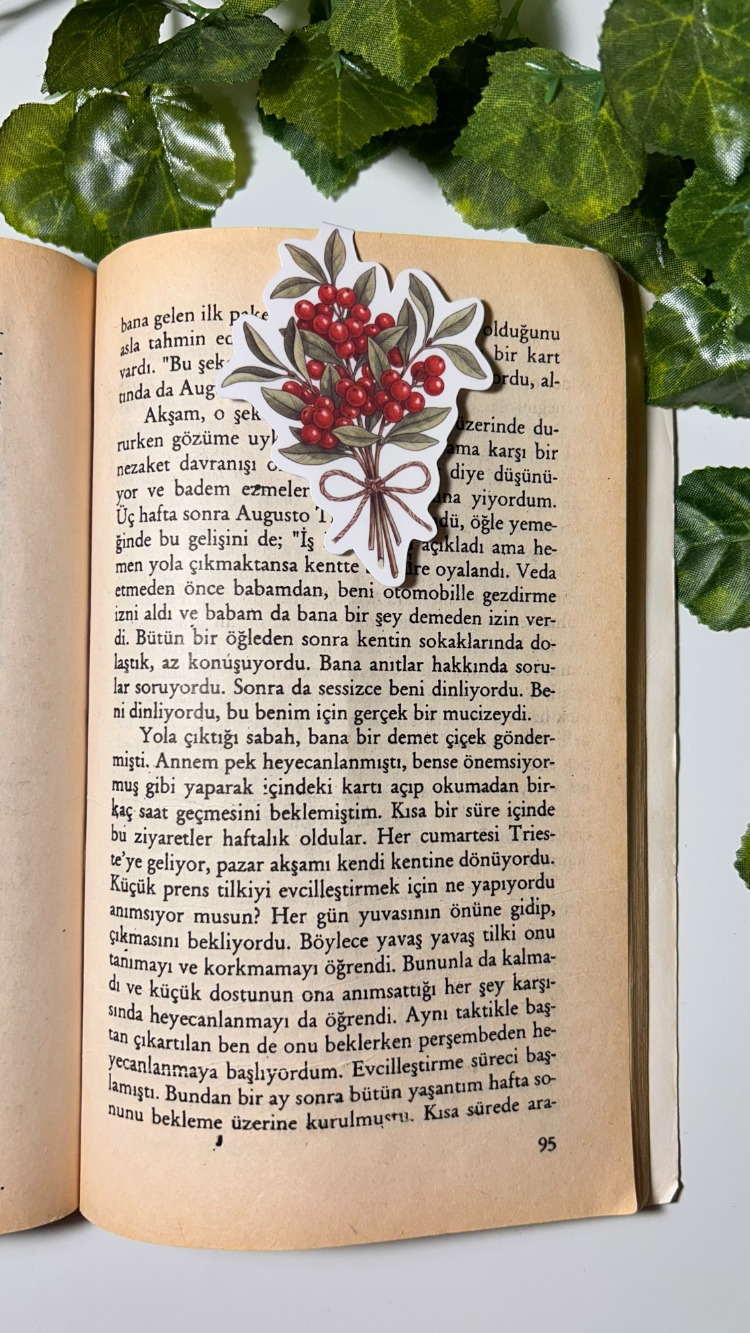 Mıknatıslı Kokina kitap ayracı, Magnetli kitap ayracı, Manyetik kitap ayracı