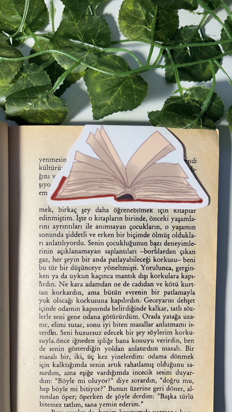 Kitap mıknatıslı kitap ayracı