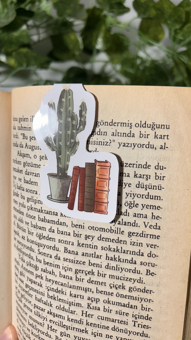 Kitaplık ve kaktüs temalı mıknatıslı kitap ayracı