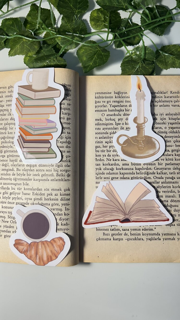 Kitap temalı 4'lü çoklu mıknatıslı kitap ayracı seti