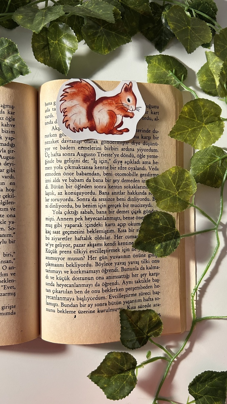 Mıknatıslı Sincap kitap ayracı, Magnetli kitap ayracı, Manyetik kitap ayracı