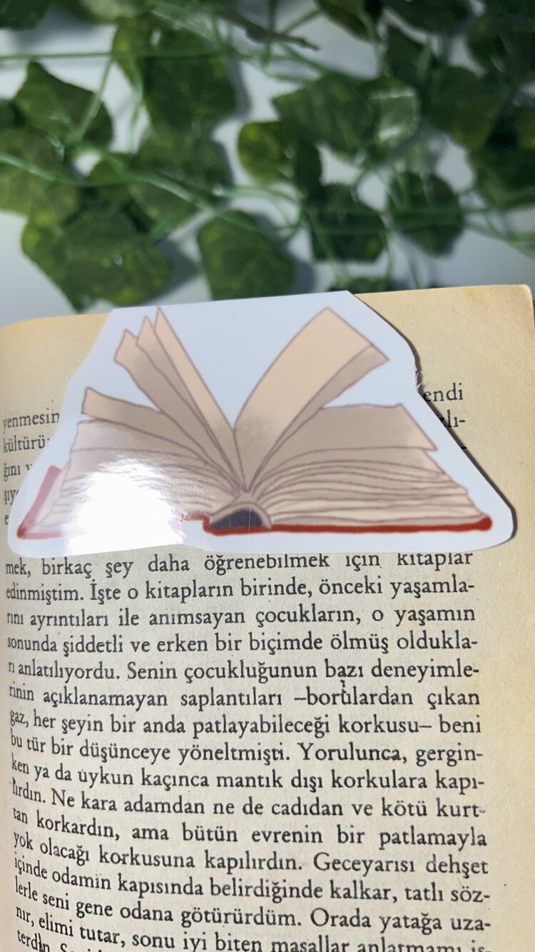 Kitap mıknatıslı kitap ayracı