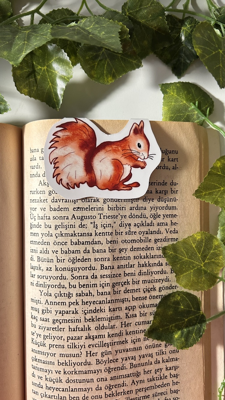 Mıknatıslı Sincap kitap ayracı, Magnetli kitap ayracı, Manyetik kitap ayracı