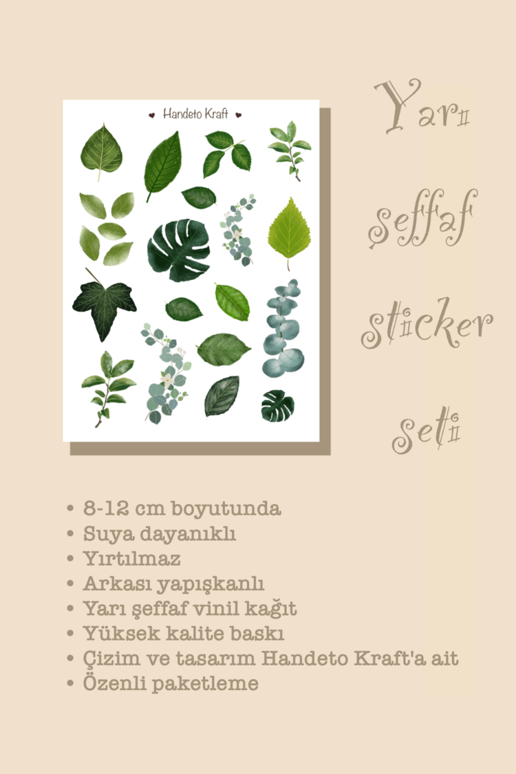 Bitki Çoklu Sticker Seti, 4lü sticker, Yarı şeffaf sticker, 8x12 cm, çıkartma, kola