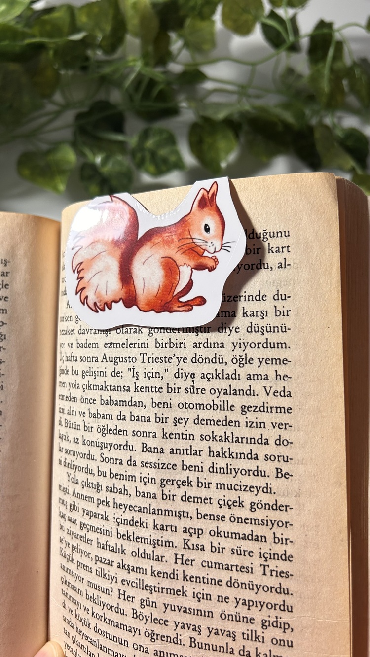 Mıknatıslı Sincap kitap ayracı, Magnetli kitap ayracı, Manyetik kitap ayracı