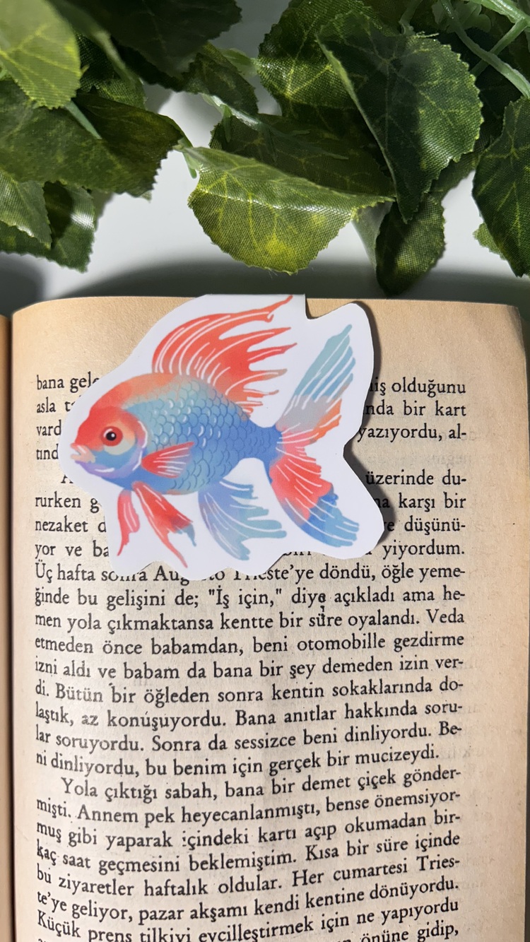 Renkli balık temalı mıknatıslı kitap ayracı