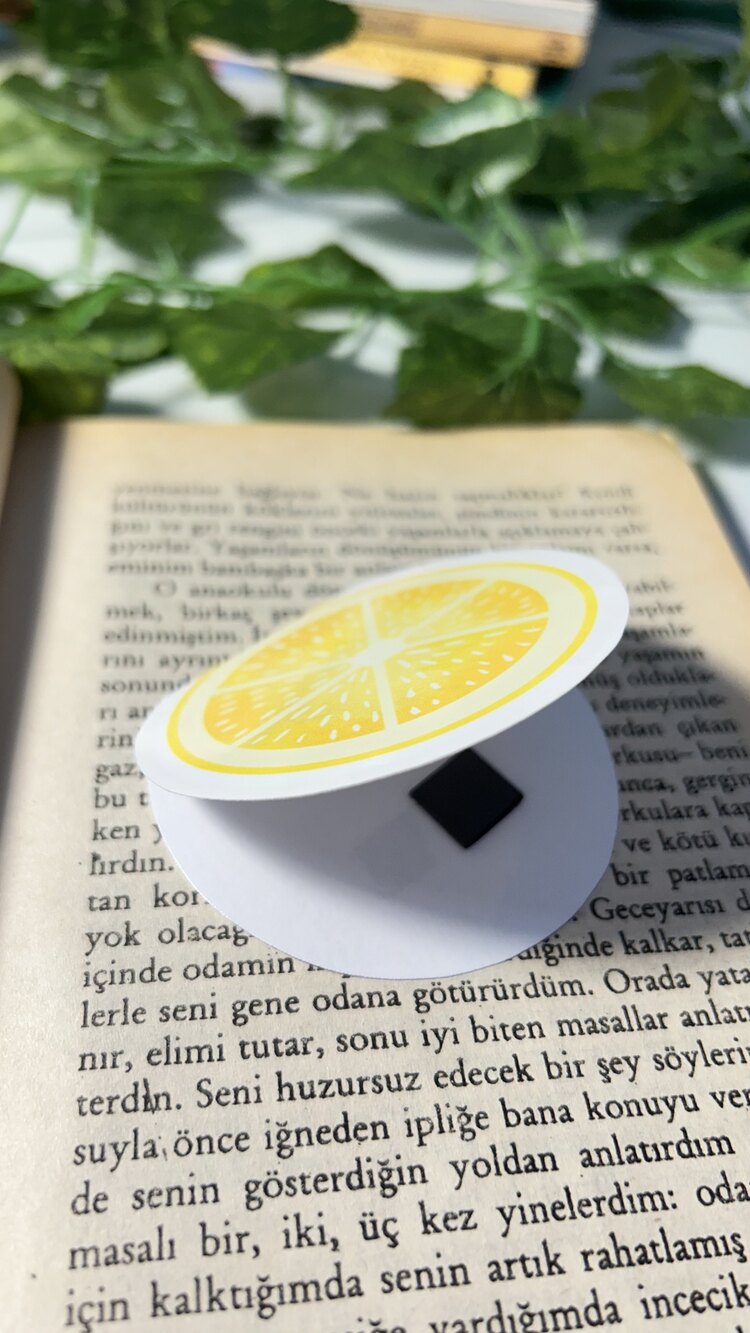 Limon mıknatıslı kitap ayracı