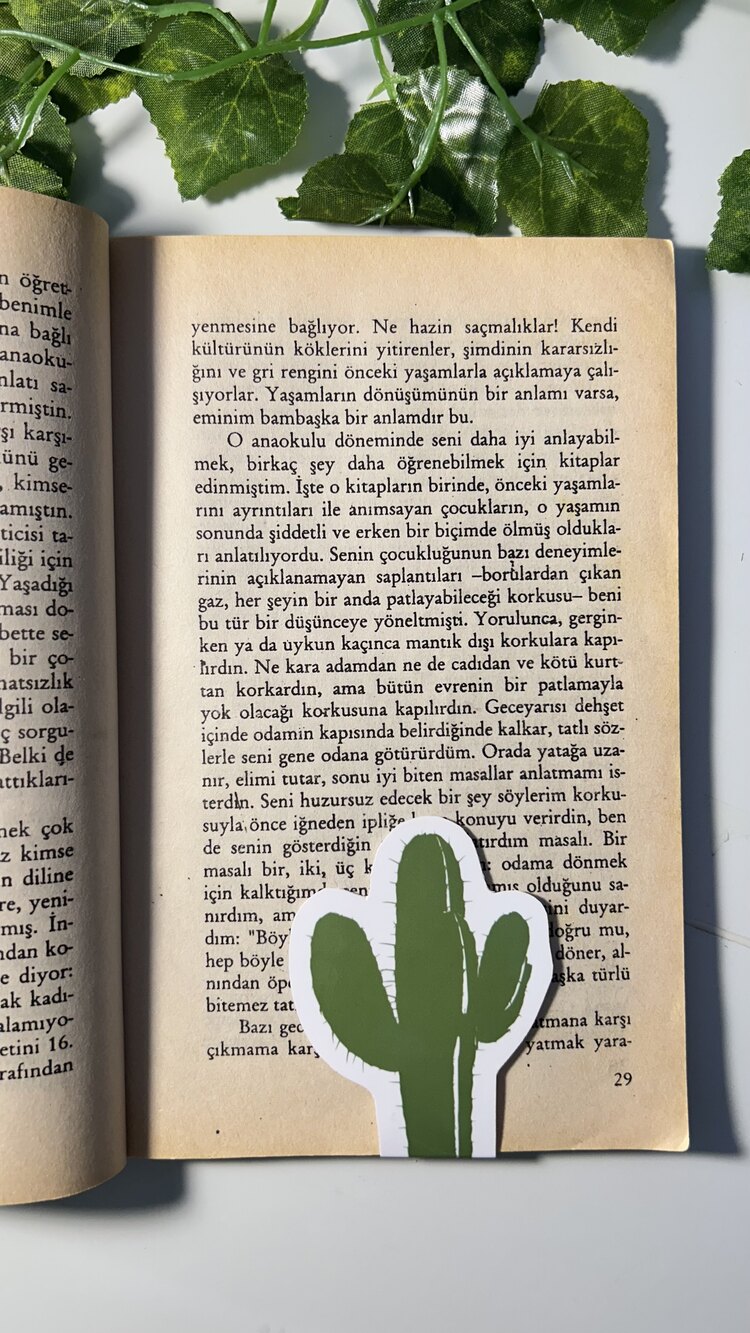 Kaktüs mıknatıslı kitap ayracı