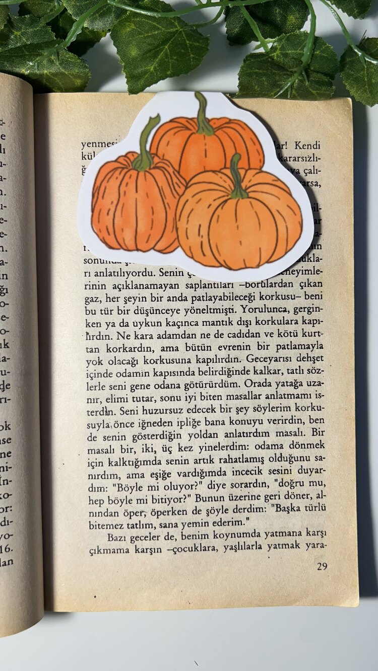Bal kabağı mıknatıslı kitap ayracı