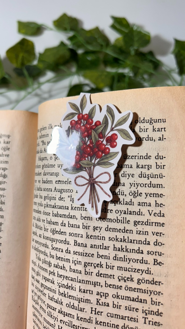 Mıknatıslı Kokina kitap ayracı, Magnetli kitap ayracı, Manyetik kitap ayracı