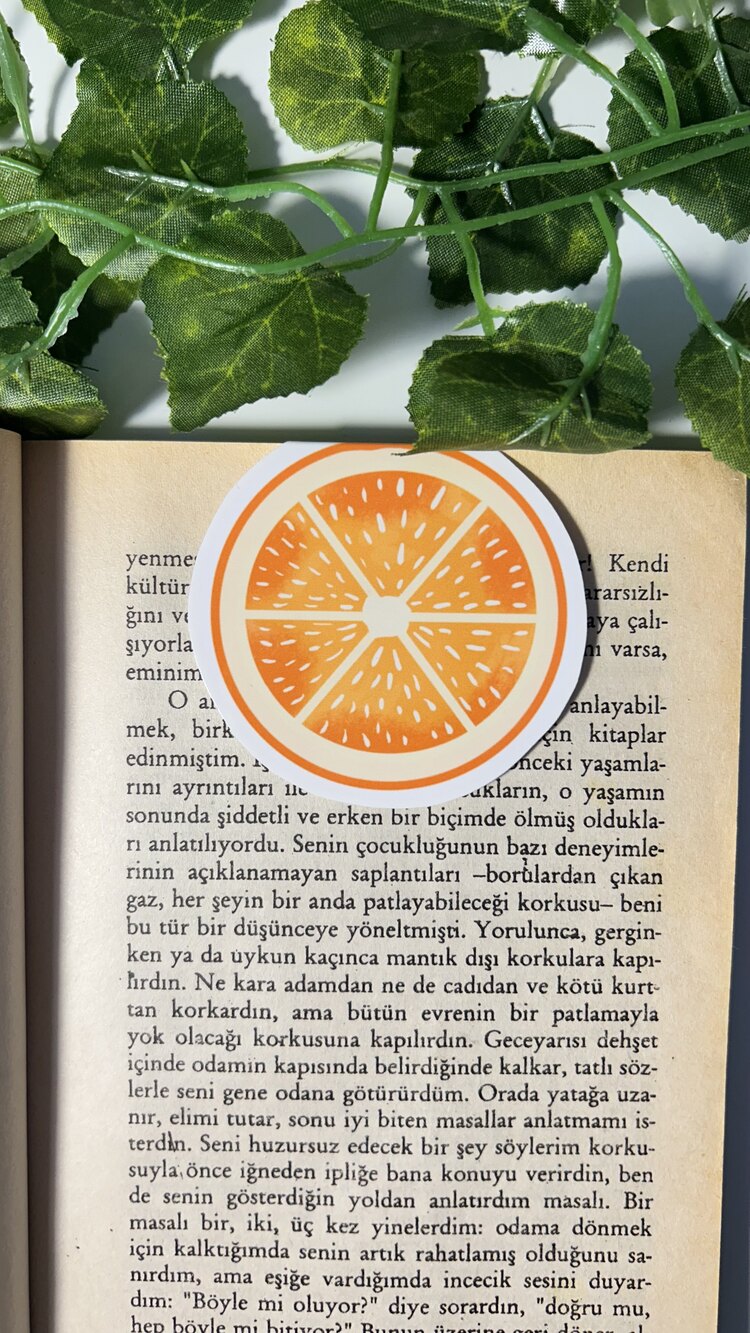 Portakal mıknatıslı kitap ayracı