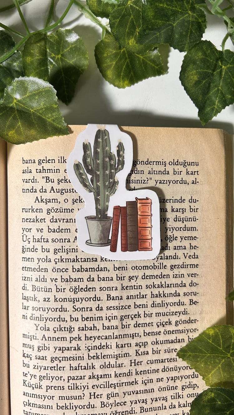 Kitaplık ve kaktüs temalı mıknatıslı kitap ayracı