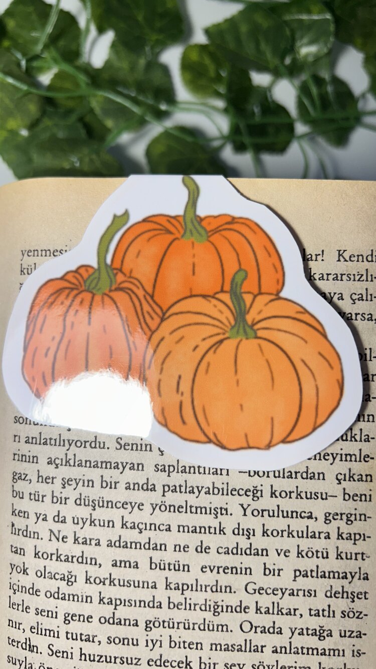 Mantar temalı 4'lü çoklu mıknatıslı kitap ayracı seti