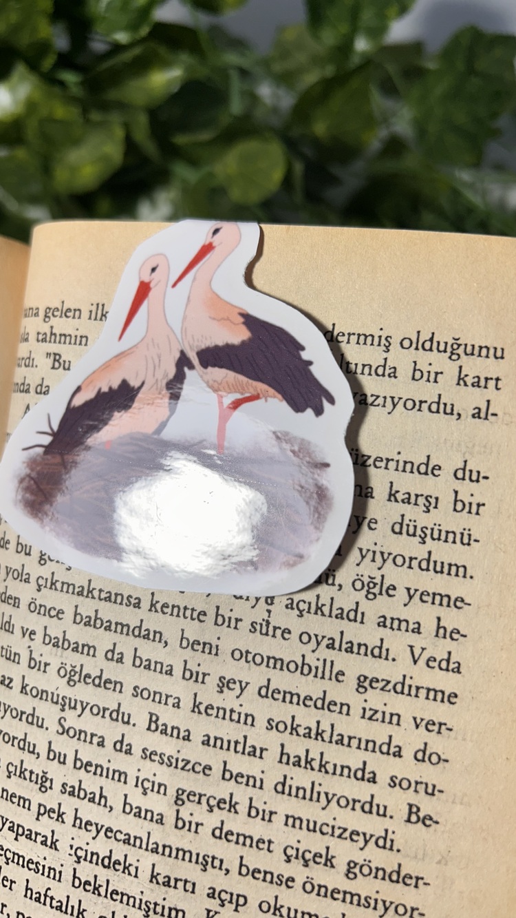 4'lü hayvan temalı mıknatıslı kitap ayracı