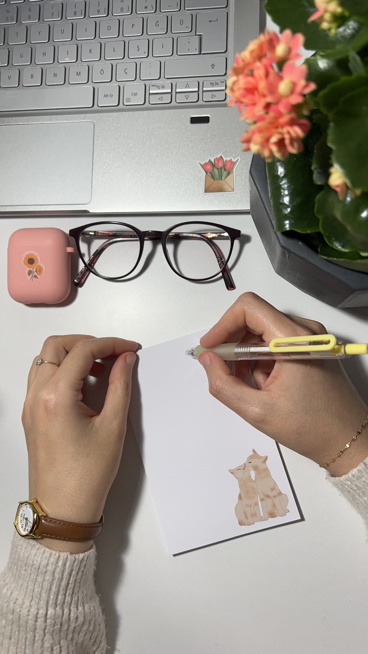 Kedi temalı notepad /Çek kopar not defteri, A6 boyutu, 40 sf., Tutkalla birleştirilmiştir.