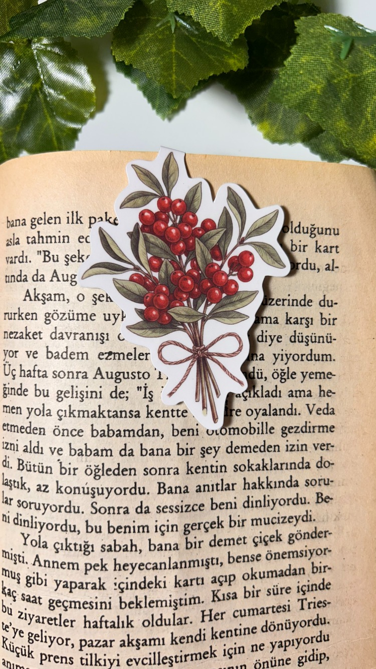 Mıknatıslı Kokina kitap ayracı, Magnetli kitap ayracı, Manyetik kitap ayracı