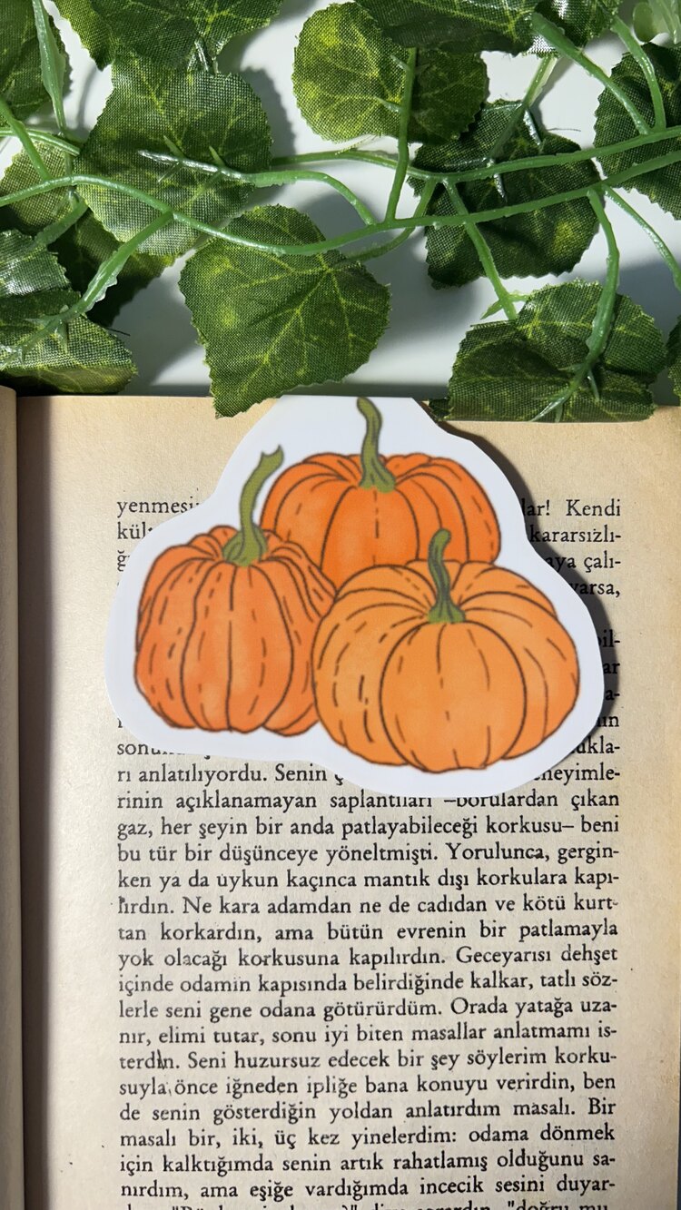 Bal kabağı mıknatıslı kitap ayracı