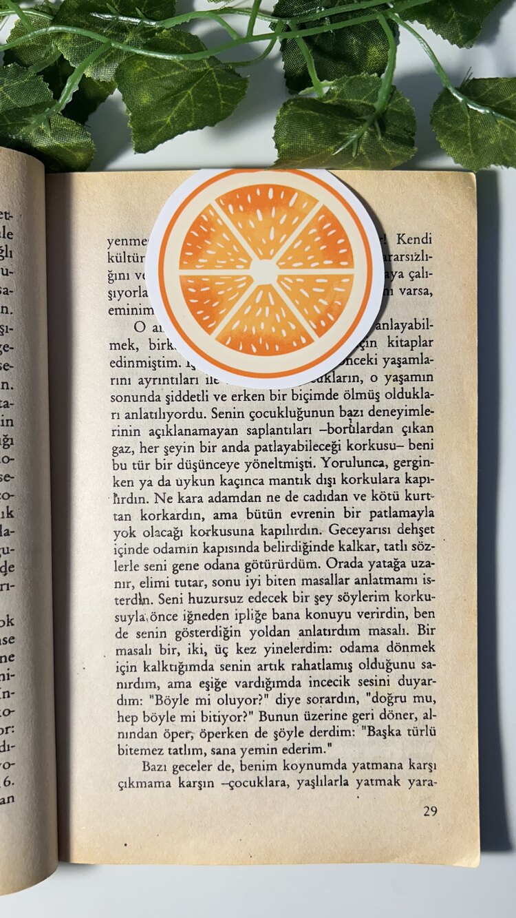 Portakal mıknatıslı kitap ayracı
