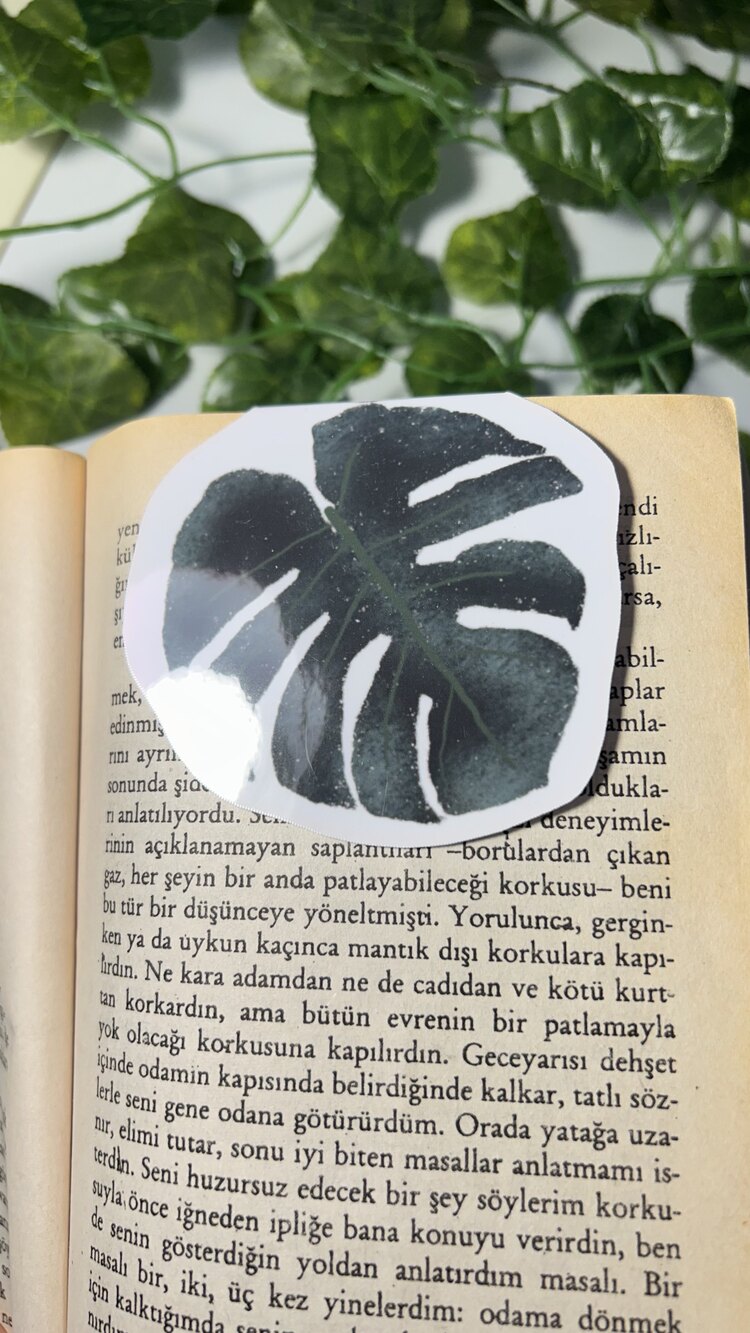 Deve tabanı mıknatıslı kitap ayracı