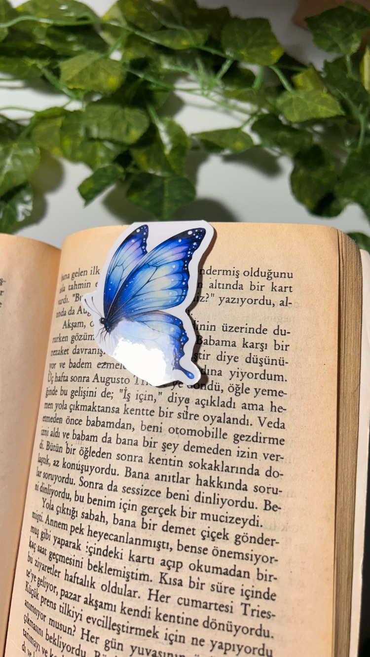 Mıknatıslı kelebek kitap ayracı, Magnetli kitap ayracı, Manyetik kitap ayracı