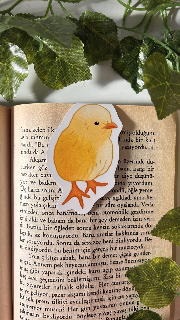 Mıknatıslı Civciv kitap ayracı, Magnetli kitap ayracı, Manyetik kitap ayracı