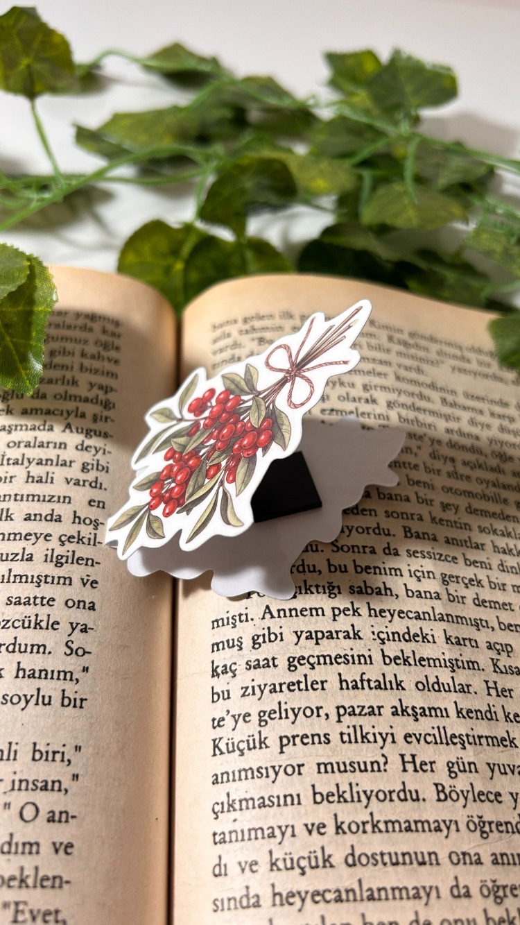 Mıknatıslı Kokina kitap ayracı, Magnetli kitap ayracı, Manyetik kitap ayracı
