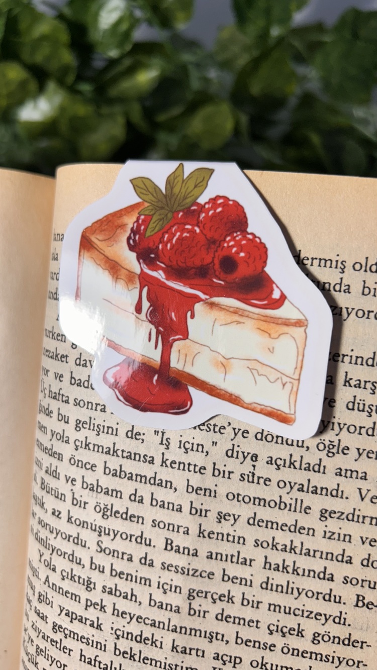 4'lü tatlı temalı mıknatıslı kitap ayracı çoklu