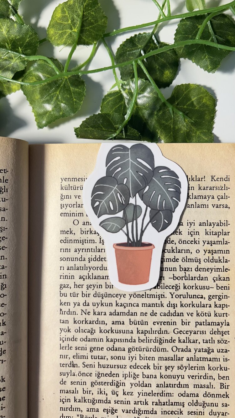 Saksıda deve tabanı mıknatıslı kitap ayracı