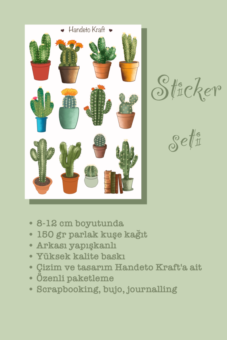 Kaktüs sticker seti