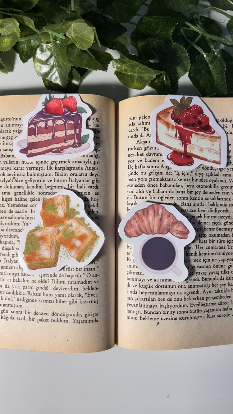 4'lü tatlı temalı mıknatıslı kitap ayracı çoklu