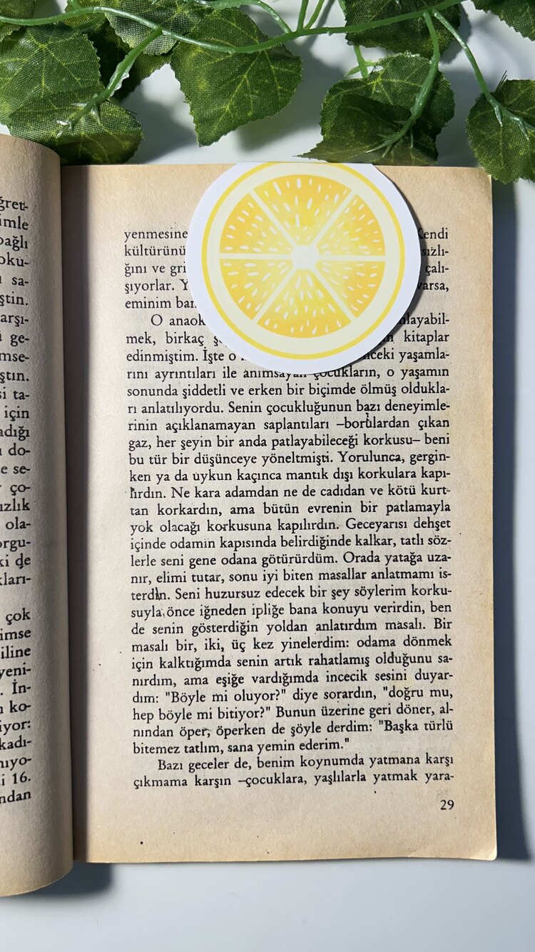 Limon mıknatıslı kitap ayracı