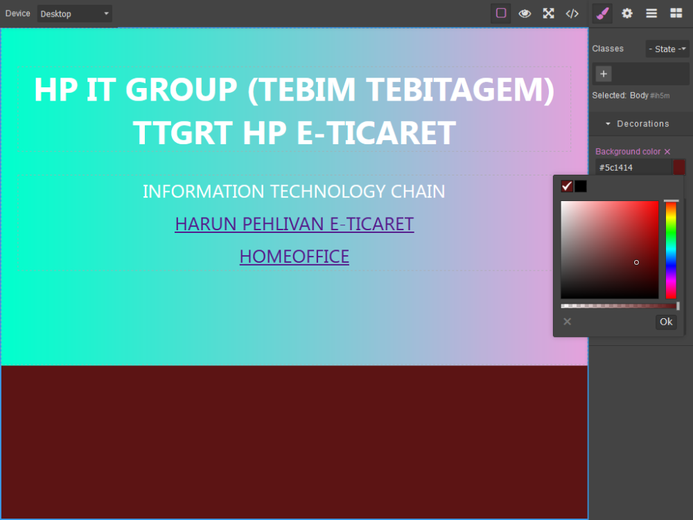 WEB EDİTÖR