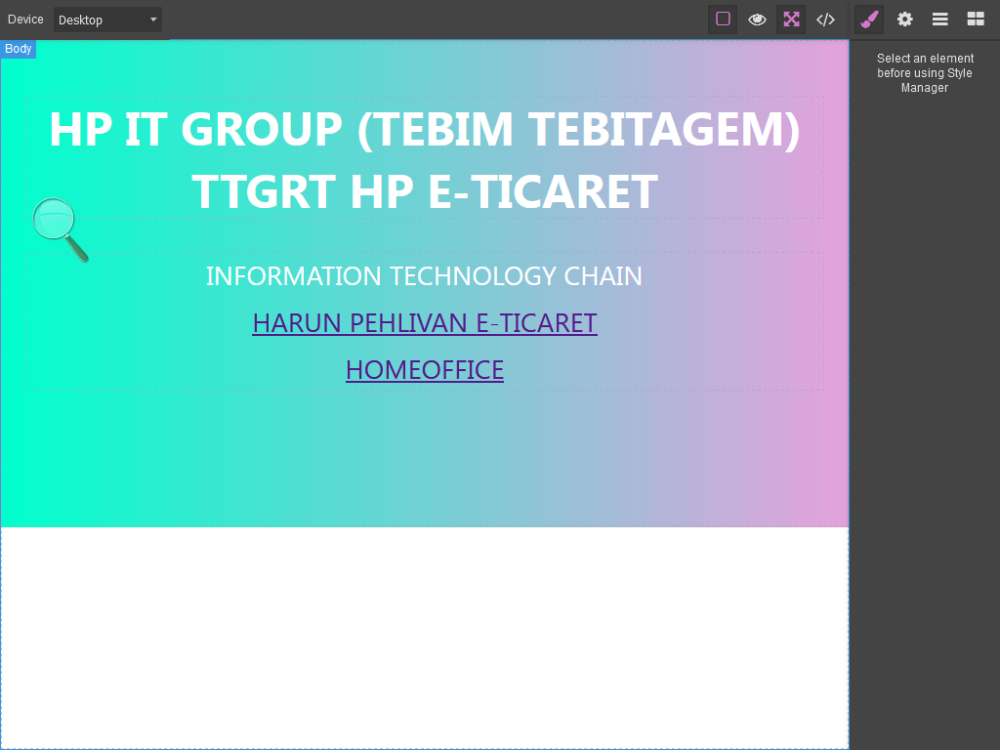 WEB EDİTÖR