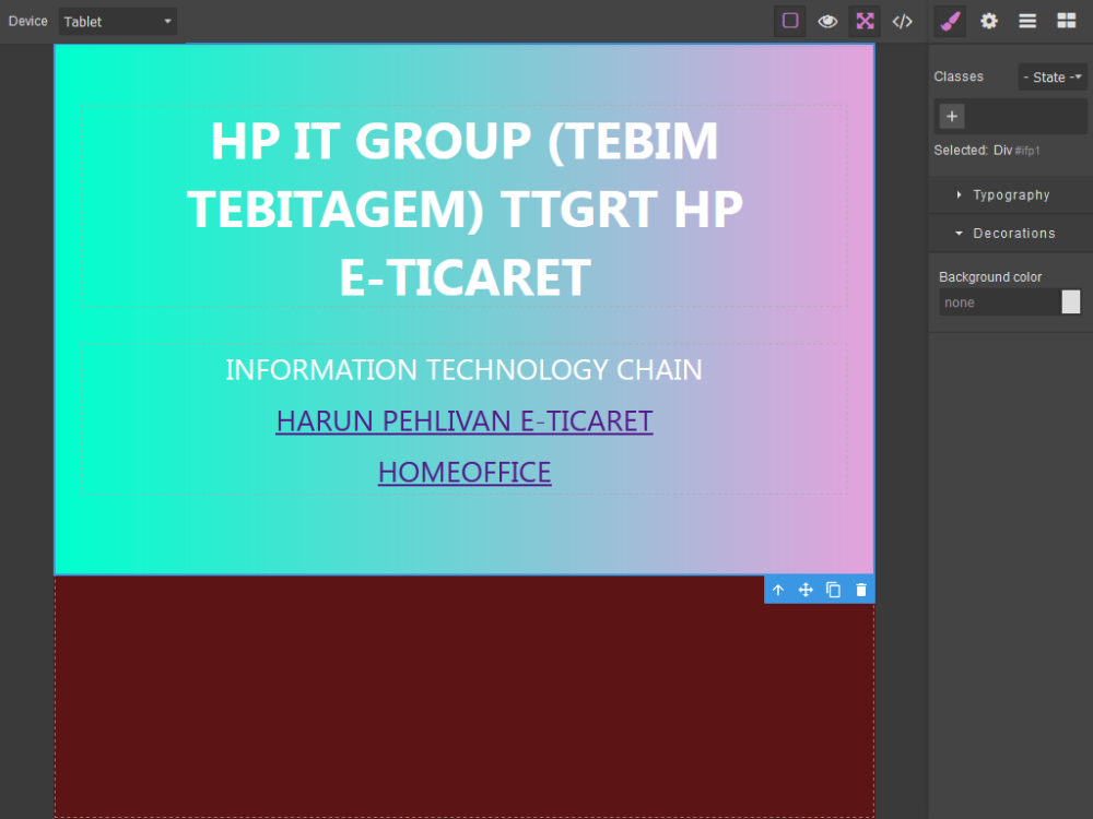 WEB EDİTÖR