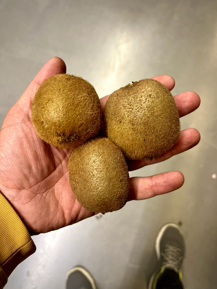 Kivi 1 kg 