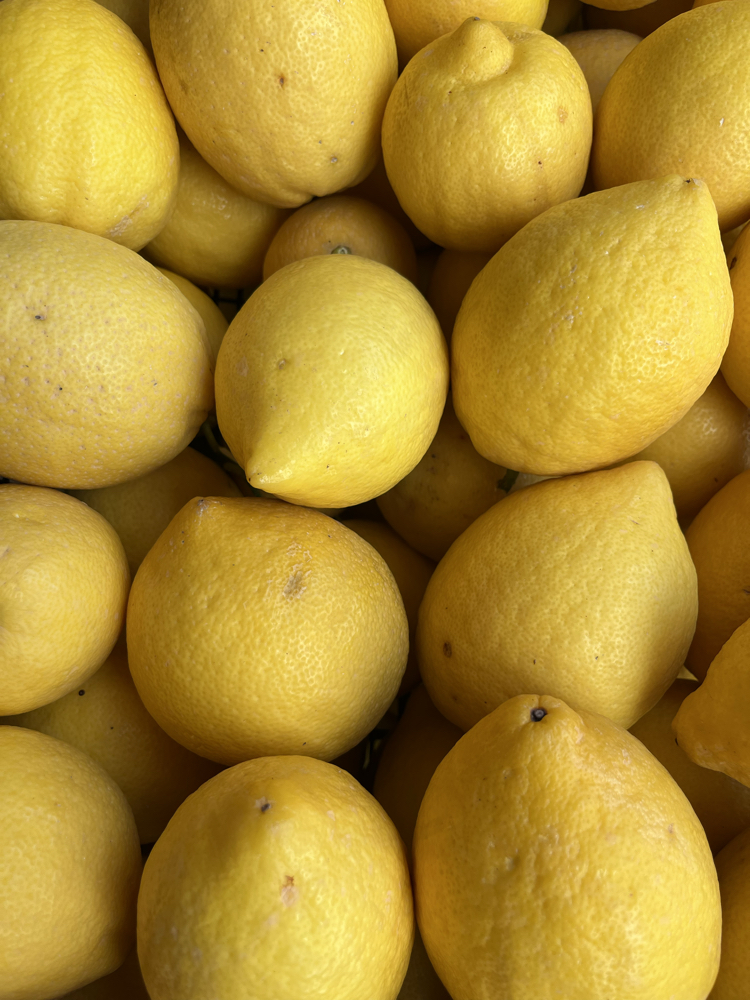 Limon yediveren 1 kg
