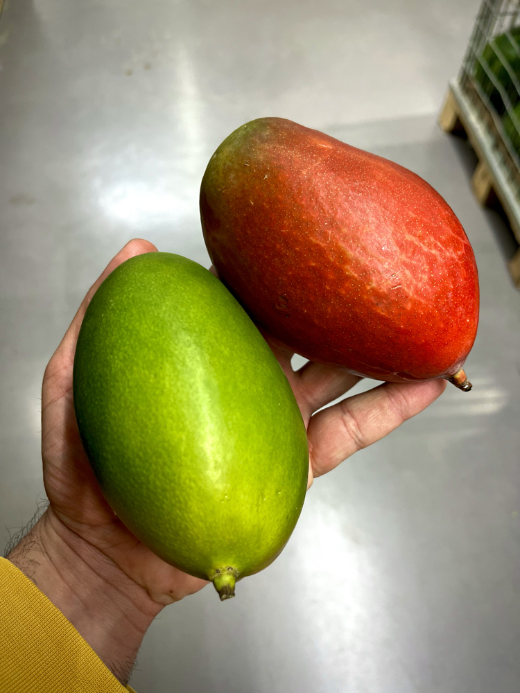 Mango