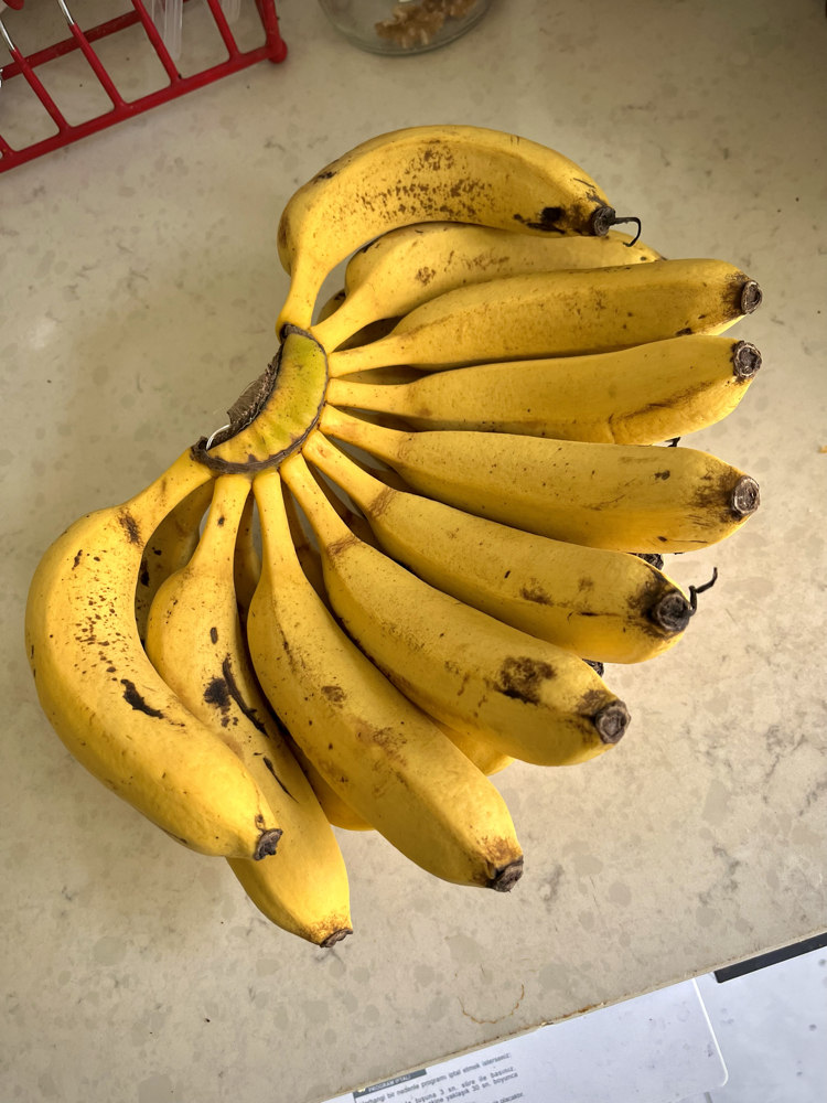Alanya muzu 1 kg