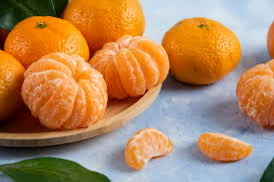 3 Yaş Saksuma Mandalina fidanı