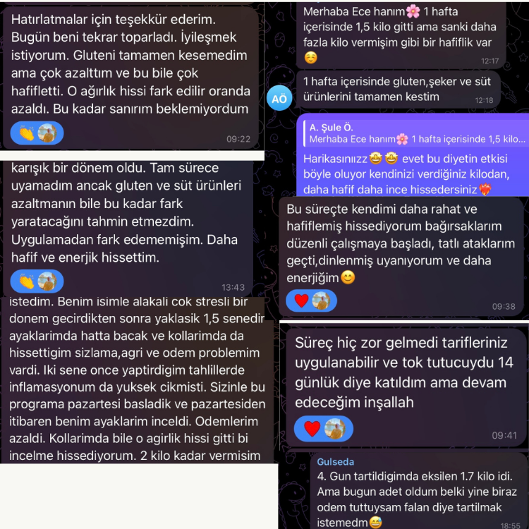 Sindirimi Güçlendirme Formülü 