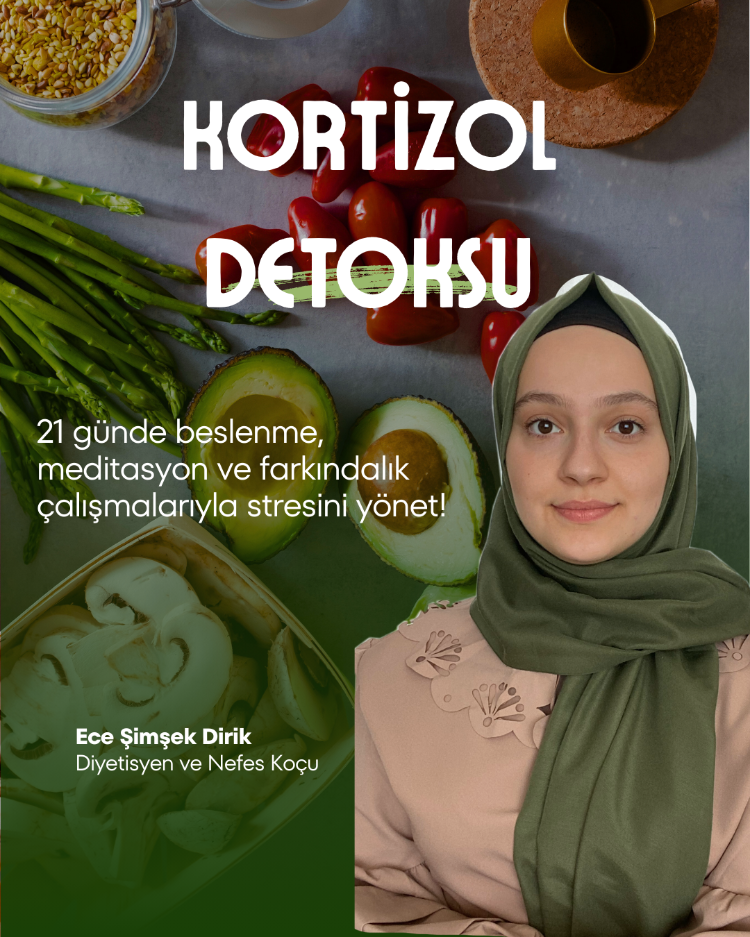 Kortizol Detoksu