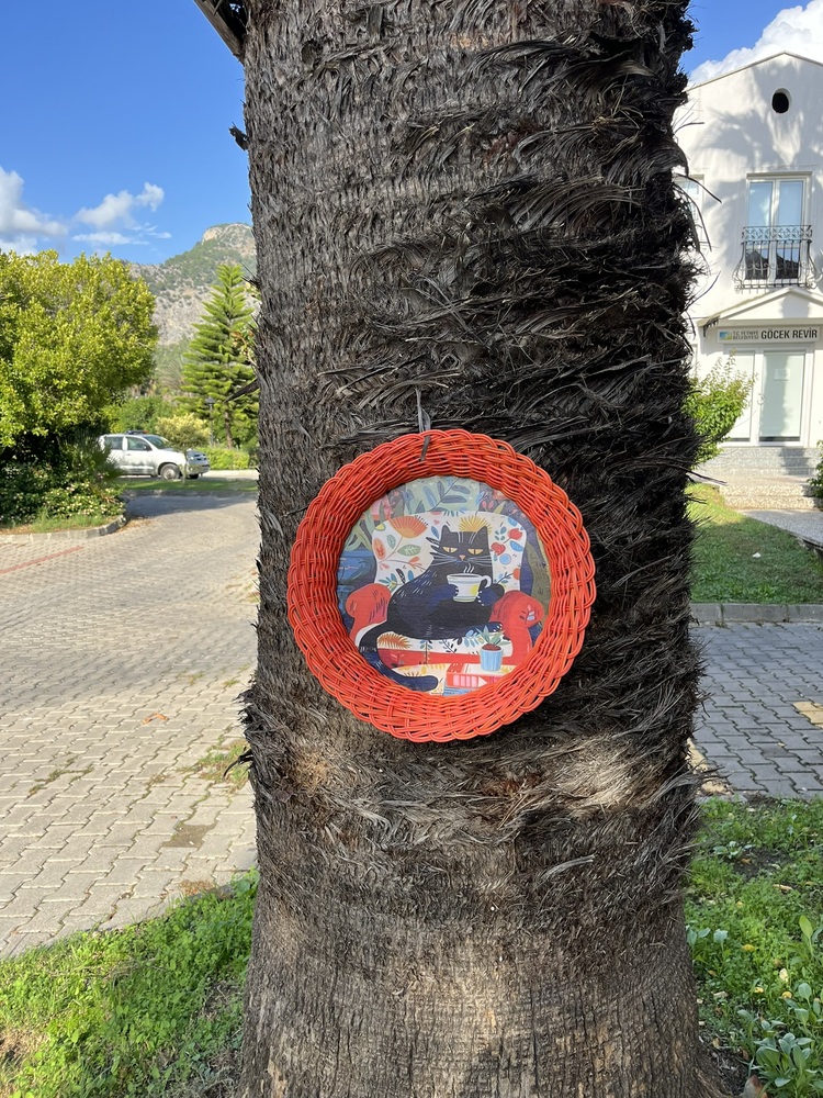 2030- Keyifçi Kara Kedi