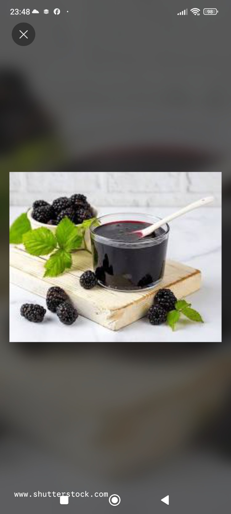 Kara dut reçeli (850gr)
